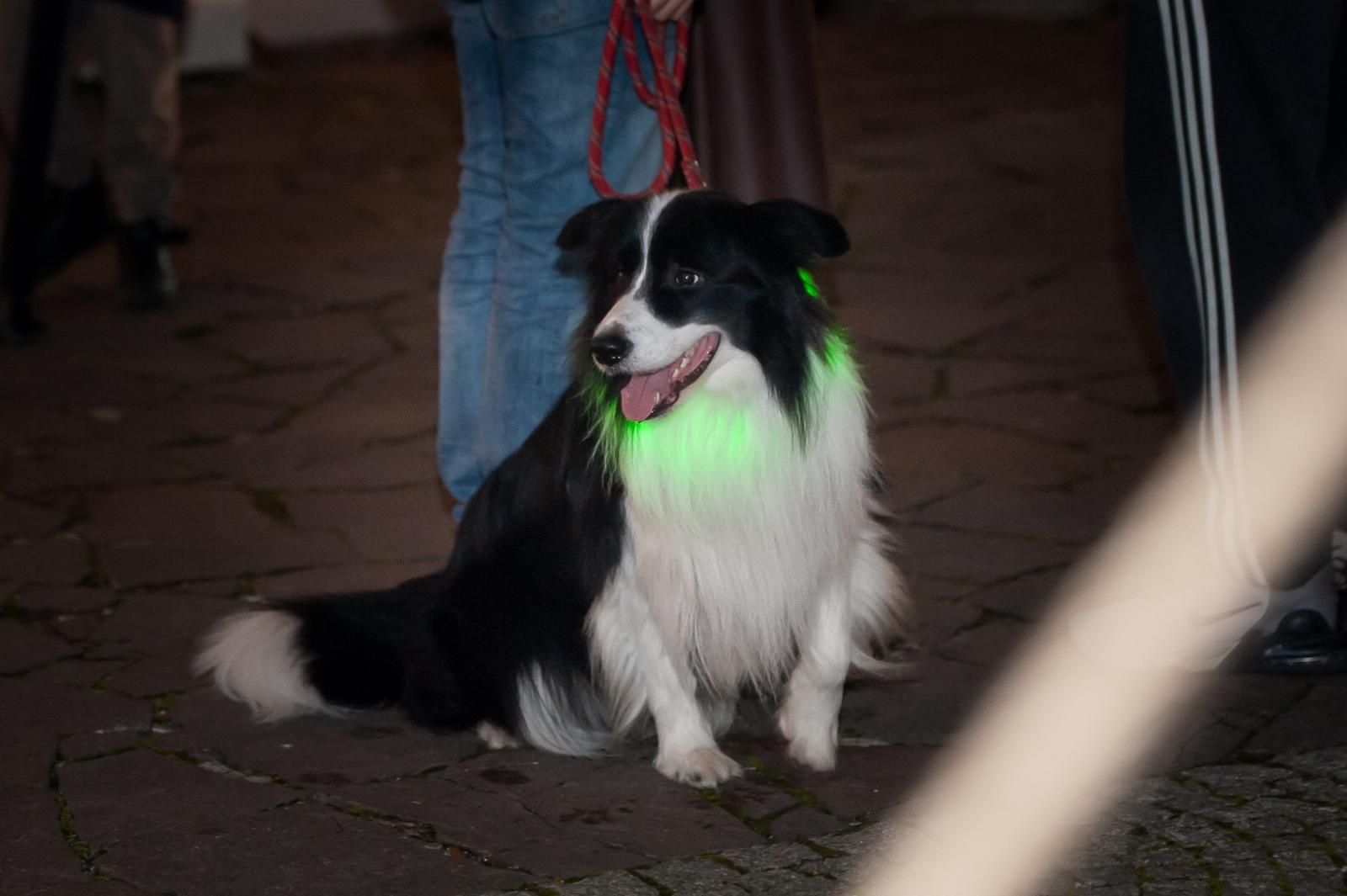 Zdjęcie w galerii na portalu naszraciborz.pl: Jazzowa sobota i wiedeńska niedziela pełna zabaw. Trwa jarmark na Zamku Piastowskim [FOTO, WIDEO, PROGRAM NA NIEDZIELĘ] wiadomości z regionu