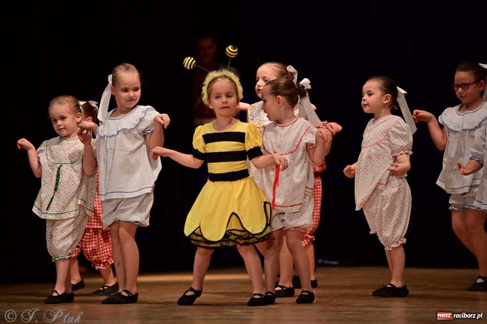 Zdjęcie w galerii na portalu naszraciborz.pl: Koncert charytatywny dla Judytki: taniec, folklor i świąteczne smaki zgromadziły tłumy wiadomości z regionu