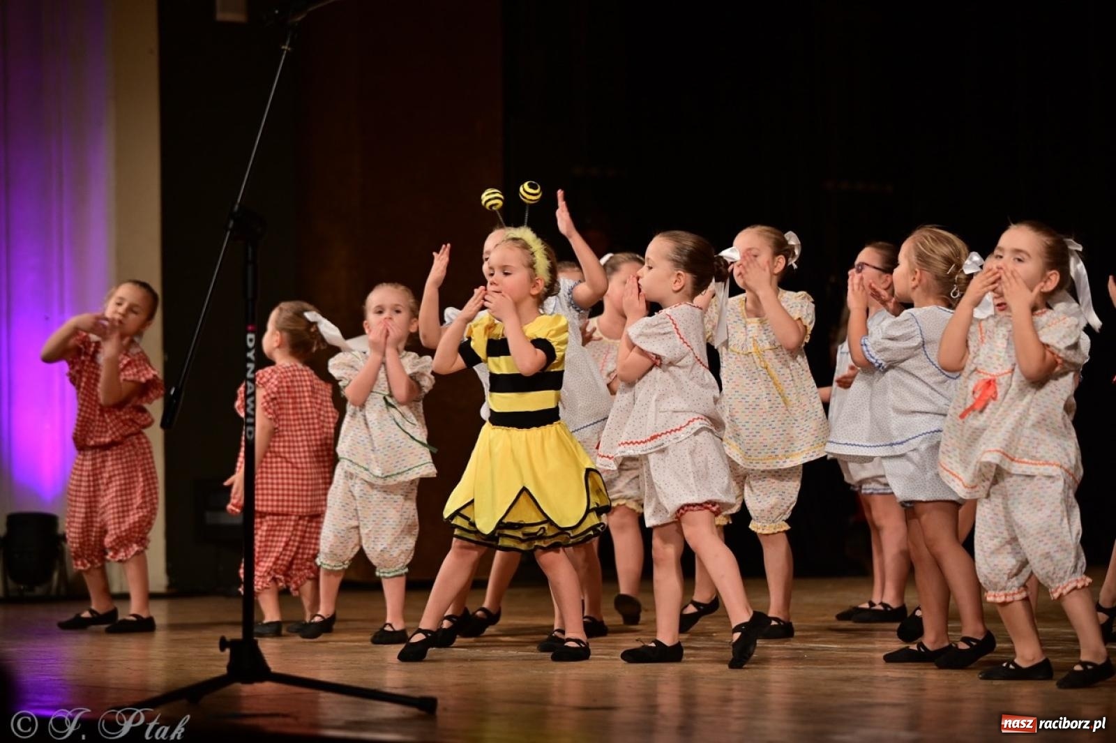 Zdjęcie w galerii na portalu naszraciborz.pl: Koncert charytatywny dla Judytki: taniec, folklor i świąteczne smaki zgromadziły tłumy wiadomości z regionu