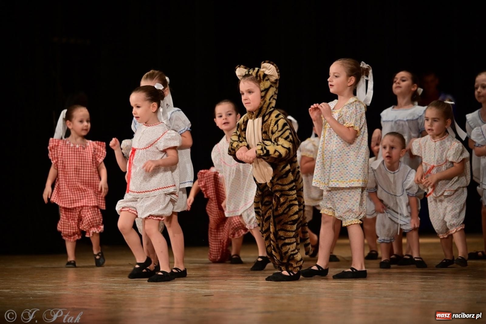 Zdjęcie w galerii na portalu naszraciborz.pl: Koncert charytatywny dla Judytki: taniec, folklor i świąteczne smaki zgromadziły tłumy wiadomości z regionu