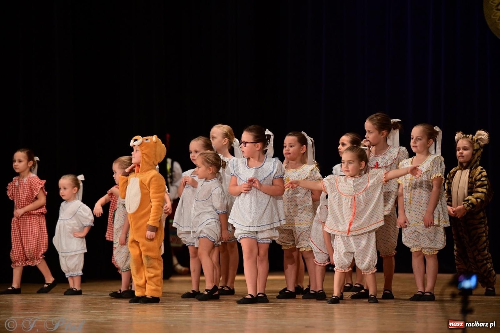 Zdjęcie w galerii na portalu naszraciborz.pl: Koncert charytatywny dla Judytki: taniec, folklor i świąteczne smaki zgromadziły tłumy wiadomości z regionu