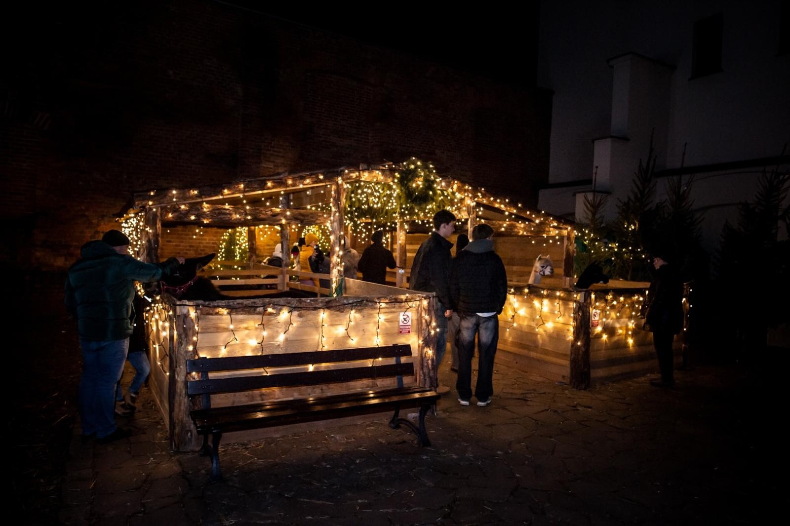 Zdjęcie w galerii na portalu naszraciborz.pl: Sobotni wieczór na jarmarku na Zamku Piastowskim [FOTO i WIDEO, PROGRAM NA NIEDZIELĘ] wiadomości z regionu