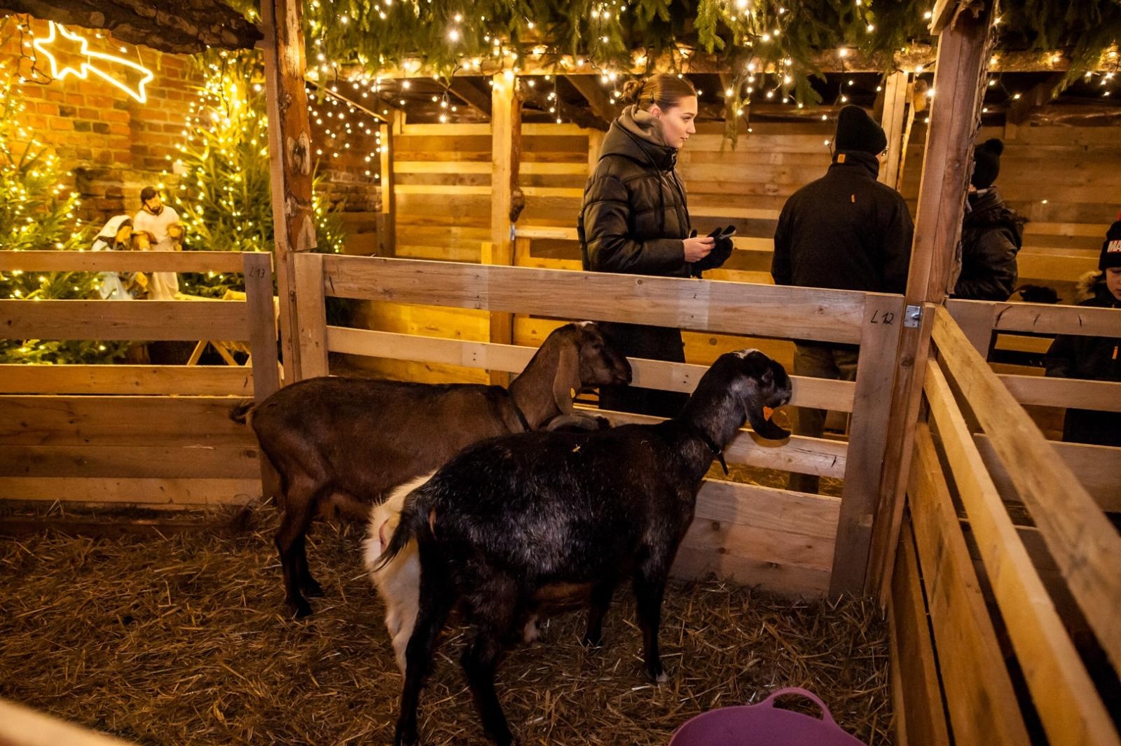 Zdjęcie w galerii na portalu naszraciborz.pl: Sobotni wieczór na jarmarku na Zamku Piastowskim [FOTO i WIDEO, PROGRAM NA NIEDZIELĘ] wiadomości z regionu