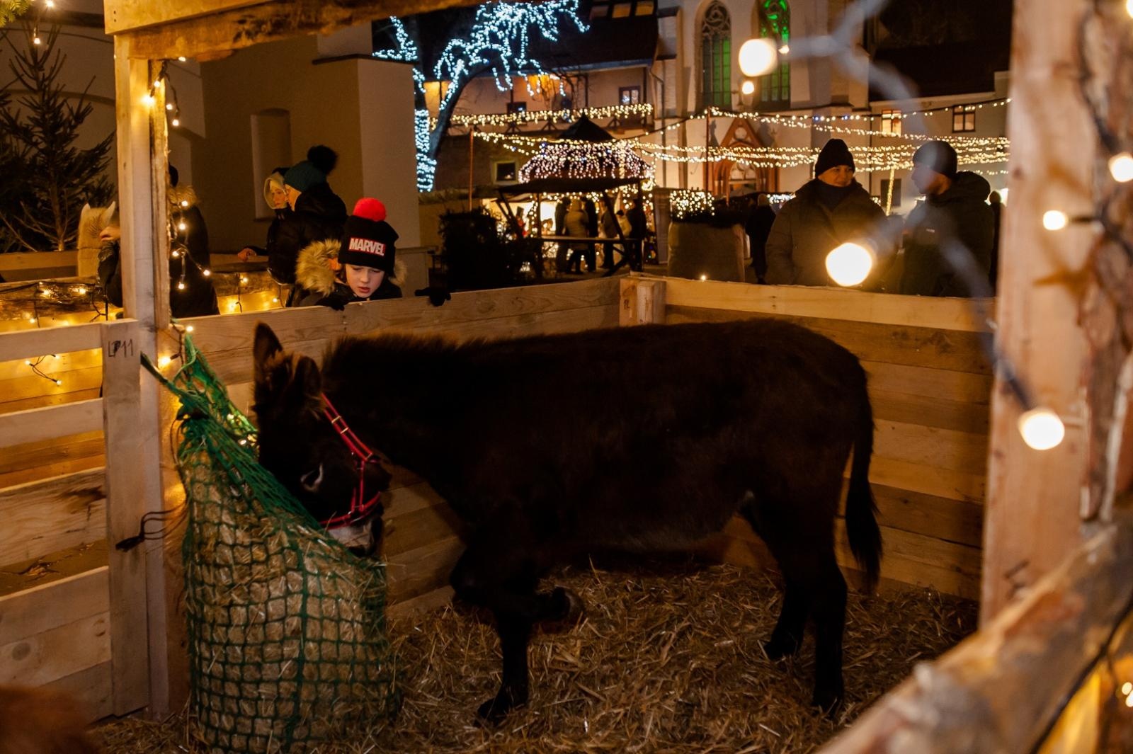 Zdjęcie w galerii na portalu naszraciborz.pl: Sobotni wieczór na jarmarku na Zamku Piastowskim [FOTO i WIDEO, PROGRAM NA NIEDZIELĘ] wiadomości z regionu
