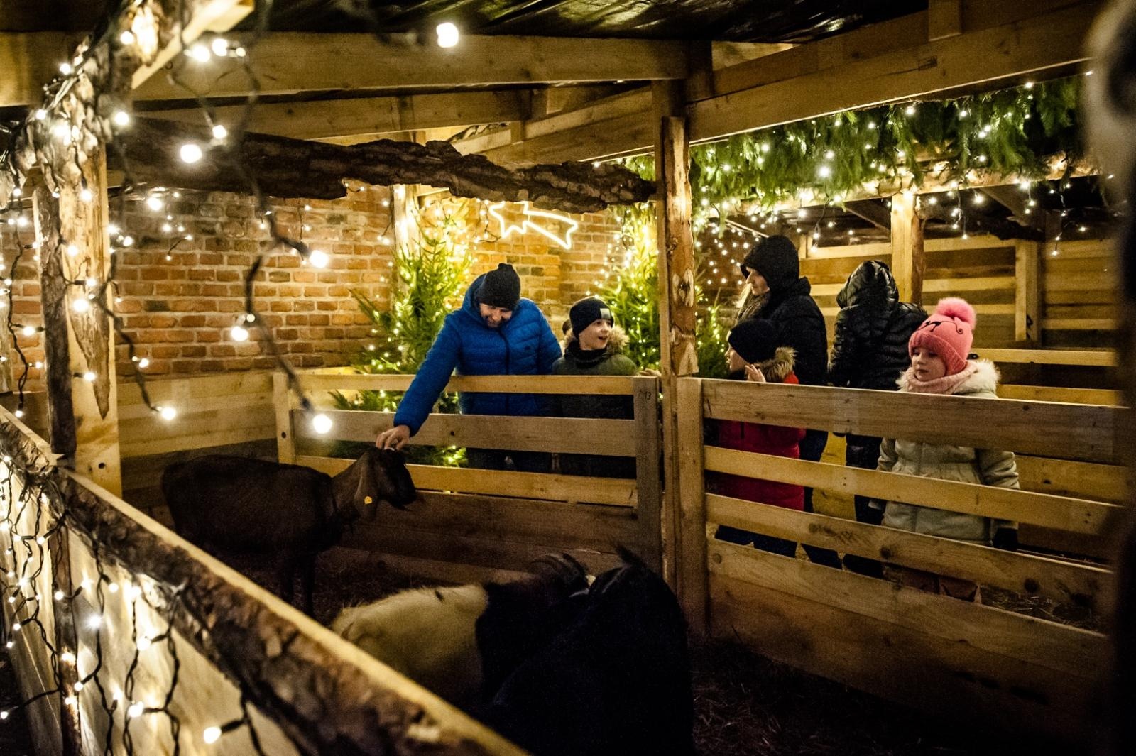 Zdjęcie w galerii na portalu naszraciborz.pl: Sobotni wieczór na jarmarku na Zamku Piastowskim [FOTO i WIDEO, PROGRAM NA NIEDZIELĘ] wiadomości z regionu