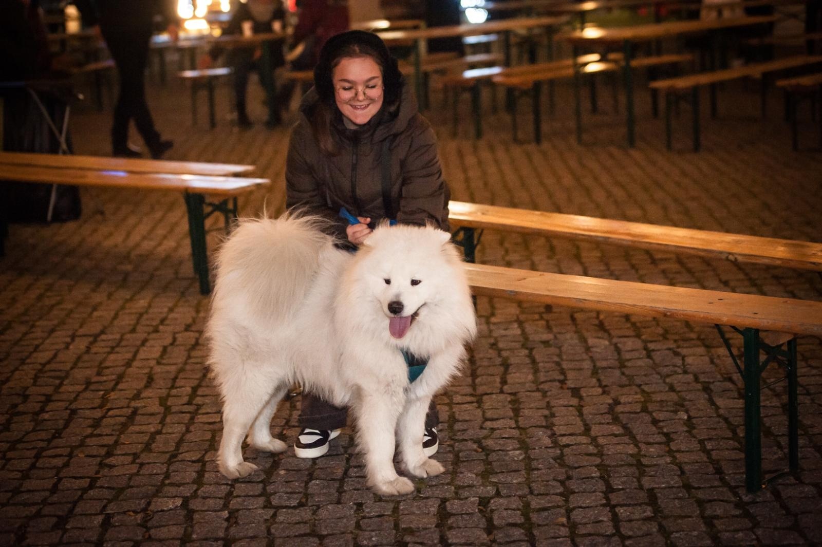 Zdjęcie w galerii na portalu naszraciborz.pl: Sobotni wieczór na jarmarku na Zamku Piastowskim [FOTO i WIDEO, PROGRAM NA NIEDZIELĘ] wiadomości z regionu