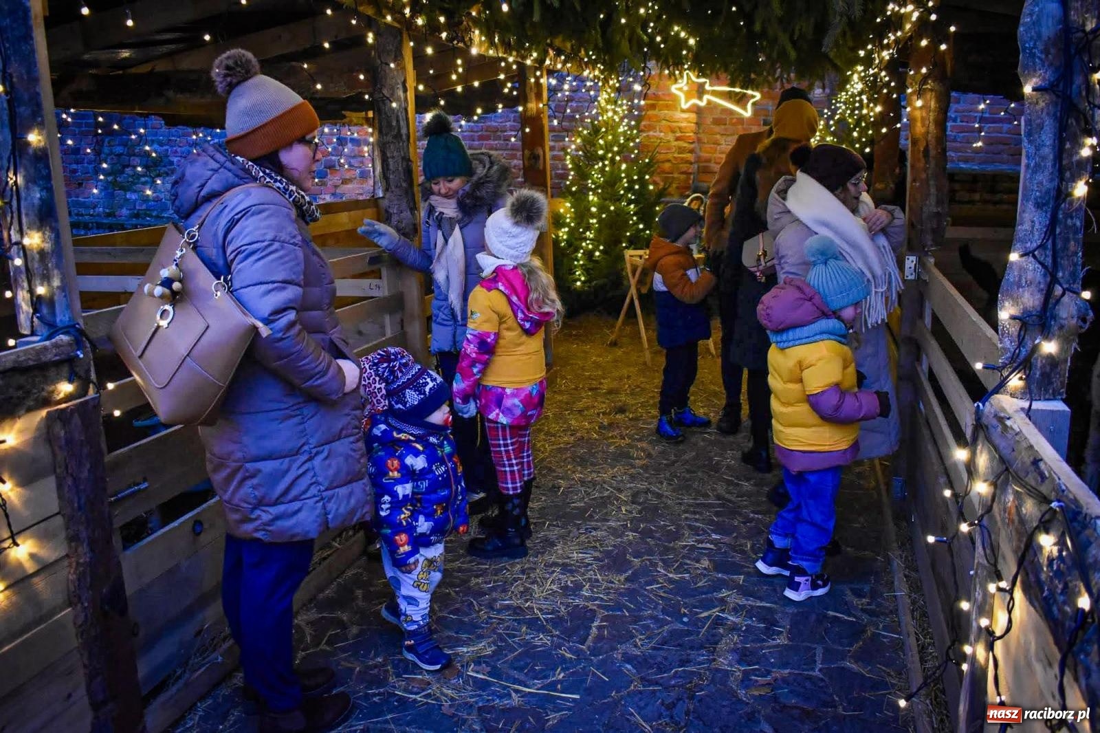 Zdjęcie w galerii na portalu naszraciborz.pl: Niedziela na zamku na Zamku Piastowskim w Raciborzu [FOTO i WIDEO] wiadomości z regionu