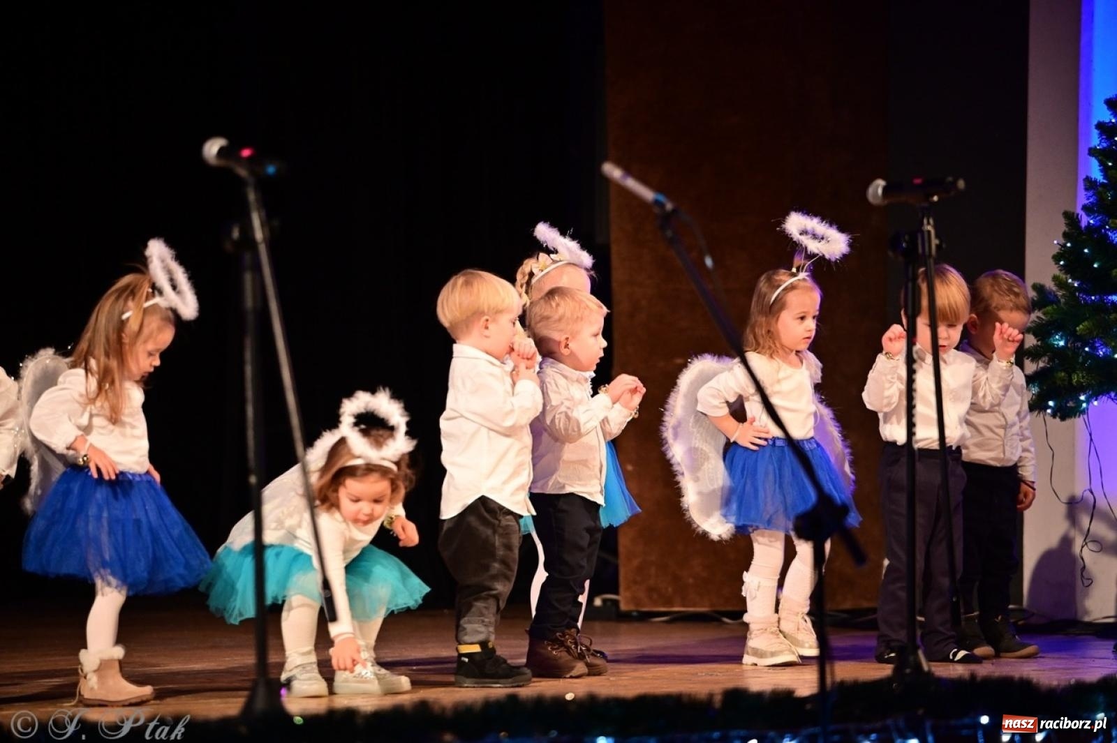 Zdjęcie w galerii na portalu naszraciborz.pl: Przedszkolaki z Trzynastki rozgrzały serca kolędami i pastorałkami w RCK wiadomości z regionu