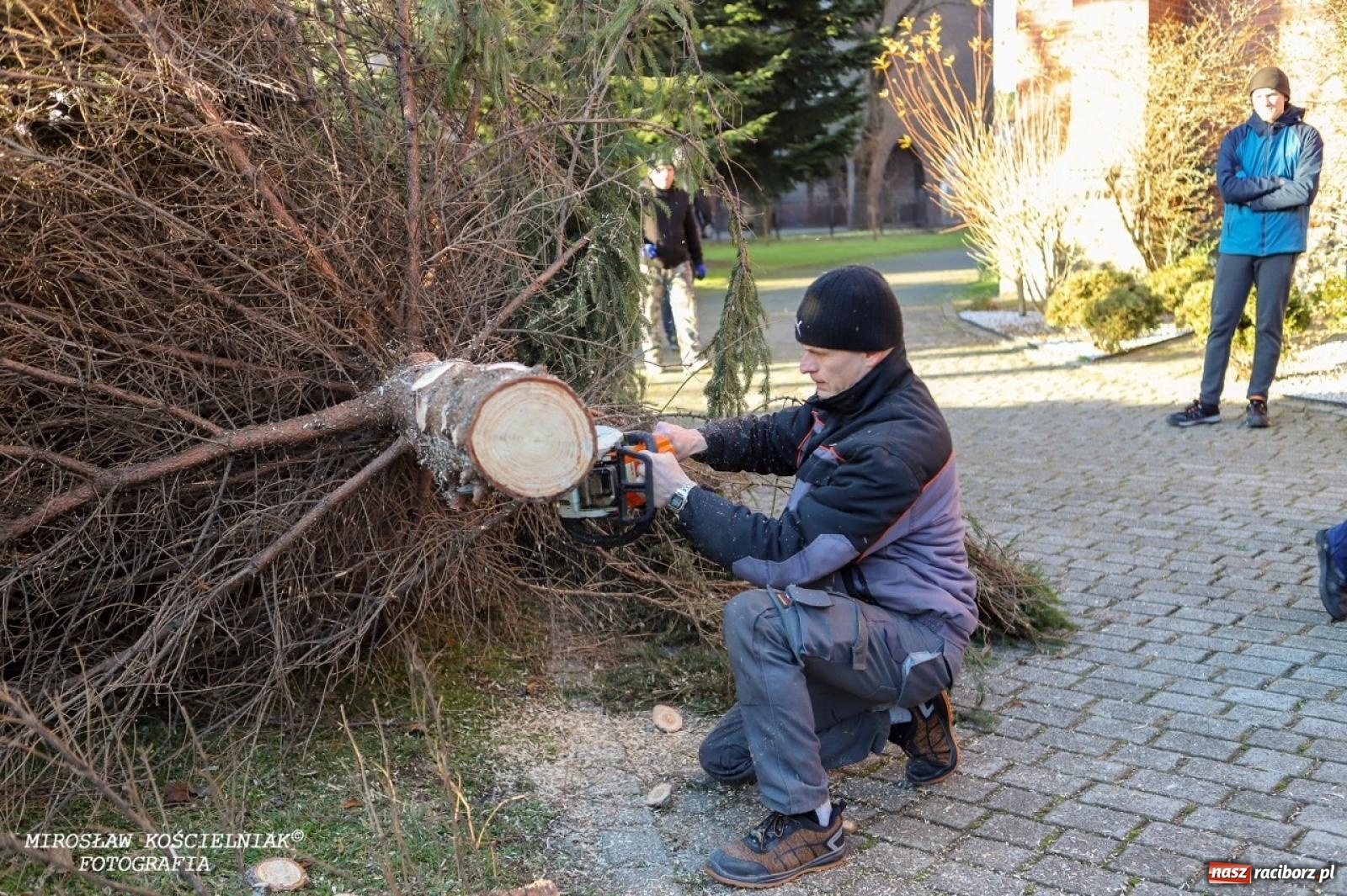 Zdjęcie w galerii na portalu naszraciborz.pl: Montaż szopki bożonarodzeniowej w kościele św. Mikołaja w Raciborzu [FOTO] wiadomości z regionu