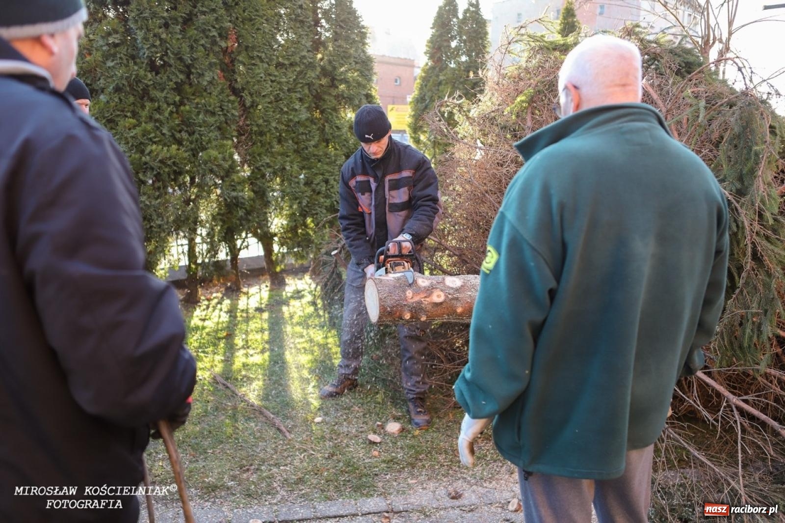 Zdjęcie w galerii na portalu naszraciborz.pl: Montaż szopki bożonarodzeniowej w kościele św. Mikołaja w Raciborzu [FOTO] wiadomości z regionu