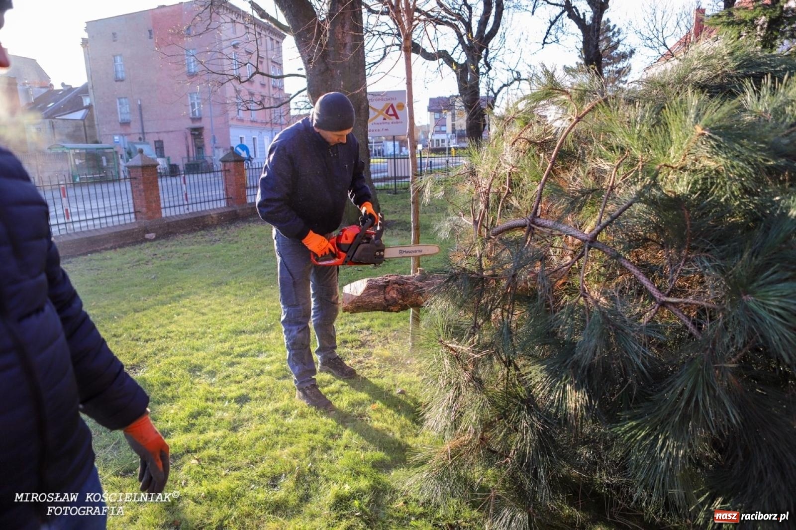 Zdjęcie w galerii na portalu naszraciborz.pl: Montaż szopki bożonarodzeniowej w kościele św. Mikołaja w Raciborzu [FOTO] wiadomości z regionu