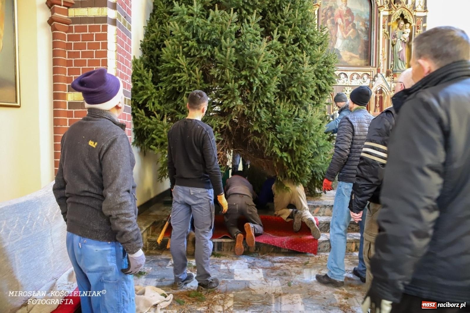 Zdjęcie w galerii na portalu naszraciborz.pl: Montaż szopki bożonarodzeniowej w kościele św. Mikołaja w Raciborzu [FOTO] wiadomości z regionu