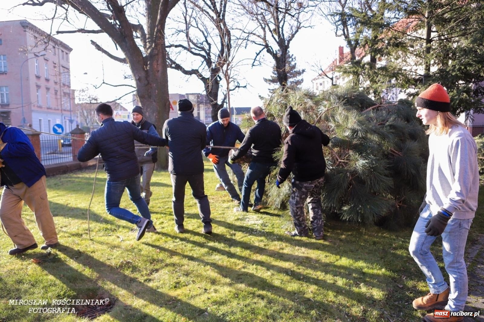Zdjęcie w galerii na portalu naszraciborz.pl: Montaż szopki bożonarodzeniowej w kościele św. Mikołaja w Raciborzu [FOTO] wiadomości z regionu
