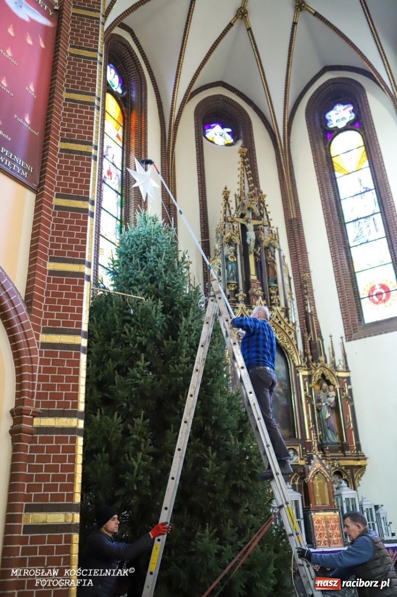 Zdjęcie w galerii na portalu naszraciborz.pl: Montaż szopki bożonarodzeniowej w kościele św. Mikołaja w Raciborzu [FOTO] wiadomości z regionu