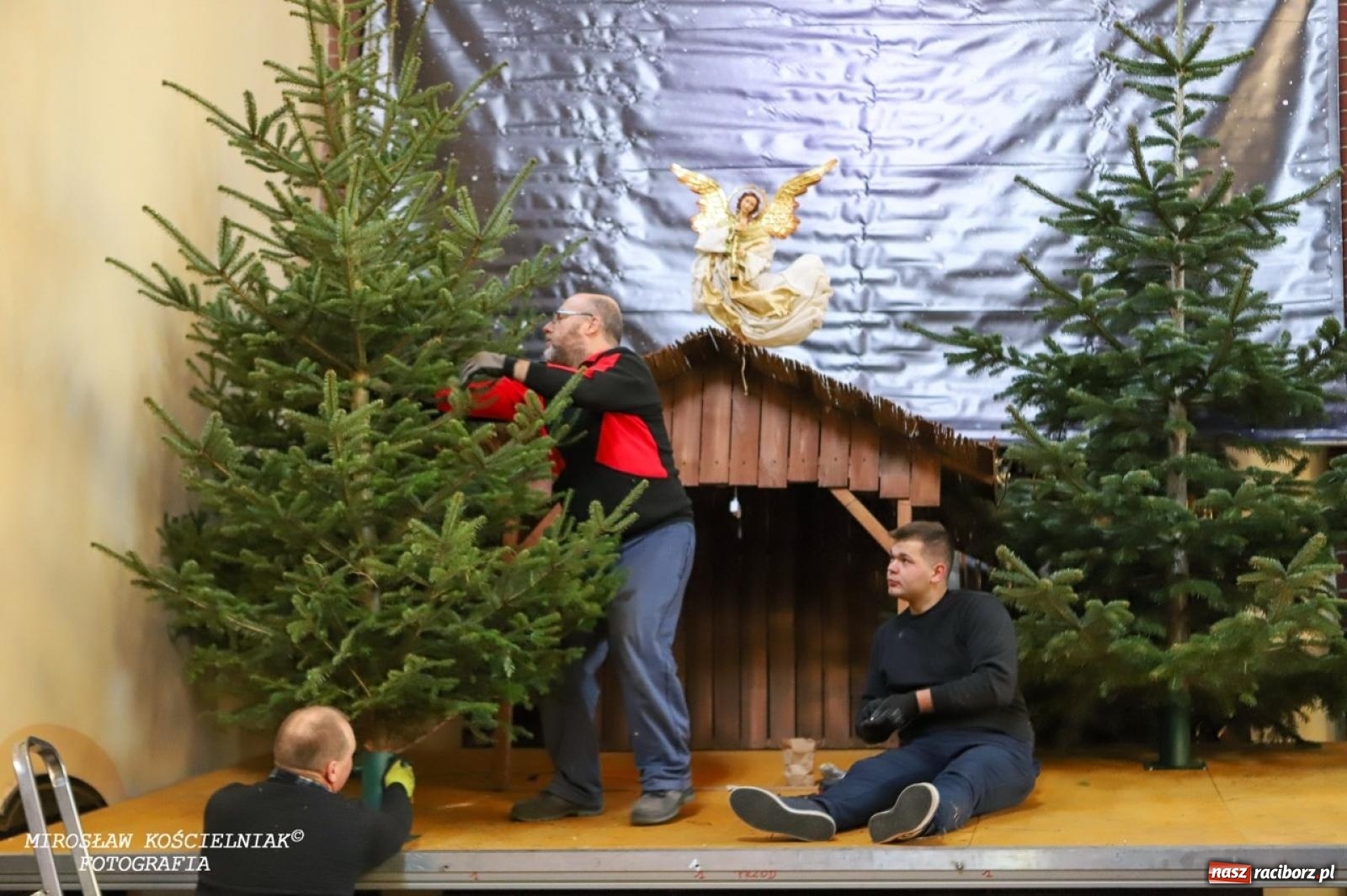 Zdjęcie w galerii na portalu naszraciborz.pl: Montaż szopki bożonarodzeniowej w kościele św. Mikołaja w Raciborzu [FOTO] wiadomości z regionu