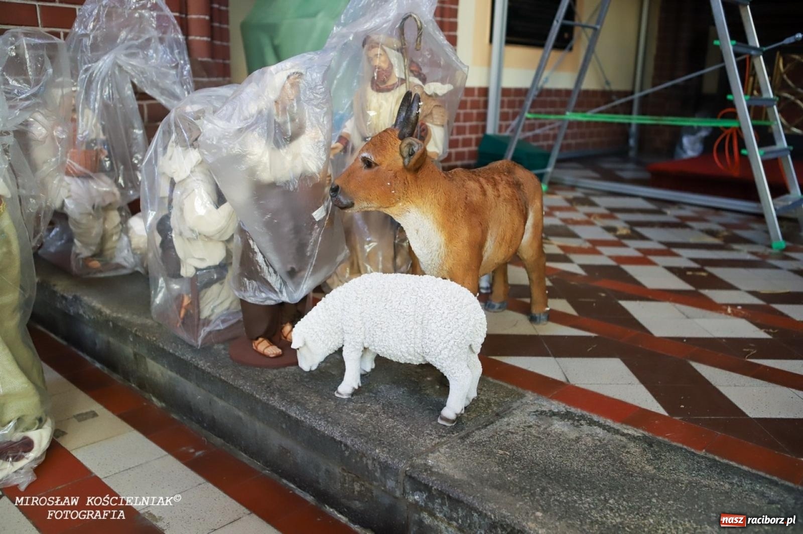 Zdjęcie w galerii na portalu naszraciborz.pl: Montaż szopki bożonarodzeniowej w kościele św. Mikołaja w Raciborzu [FOTO] wiadomości z regionu