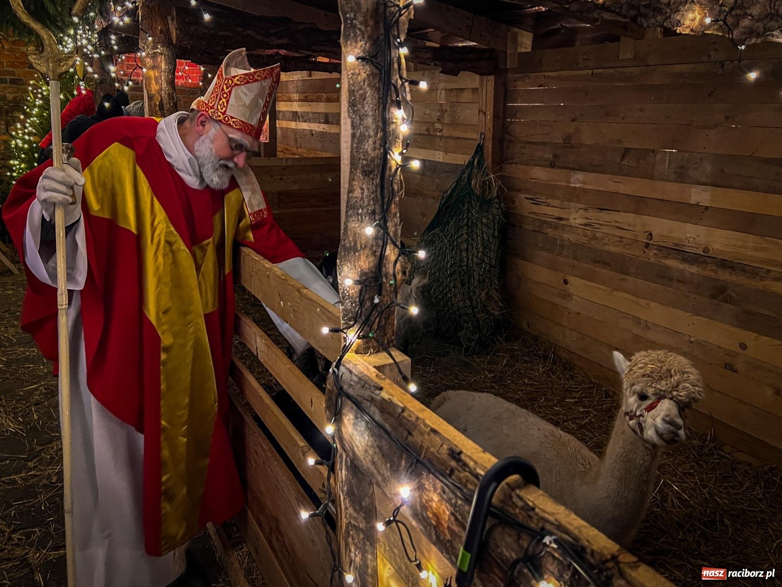 Zdjęcie w galerii na portalu naszraciborz.pl: Bajkowy zamek 2024 za nami. Cztery weekendy przedświątecznej zabawy w dawnej siedzibie Piastów wiadomości z regionu
