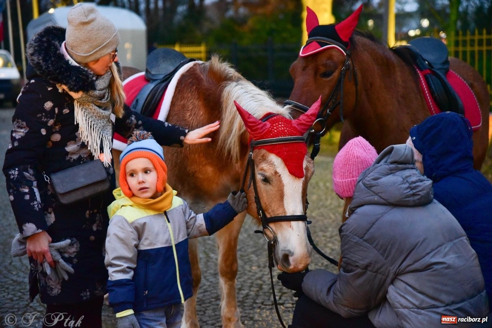 Zdjęcie w galerii na portalu naszraciborz.pl: Bajkowy zamek 2024 za nami. Cztery weekendy przedświątecznej zabawy w dawnej siedzibie Piastów wiadomości z regionu