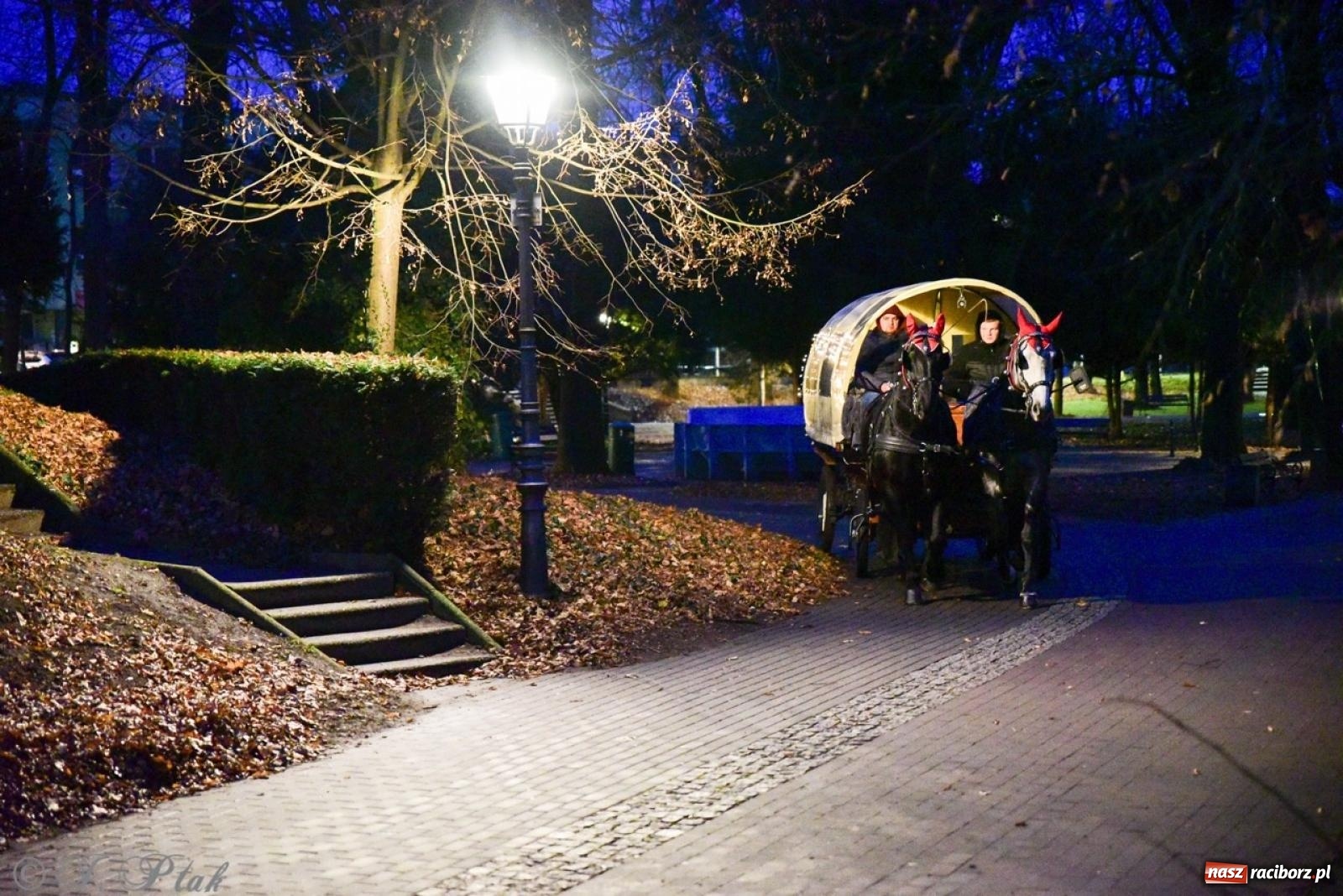 Zdjęcie w galerii na portalu naszraciborz.pl: Bajkowy zamek 2024 za nami. Cztery weekendy przedświątecznej zabawy w dawnej siedzibie Piastów wiadomości z regionu