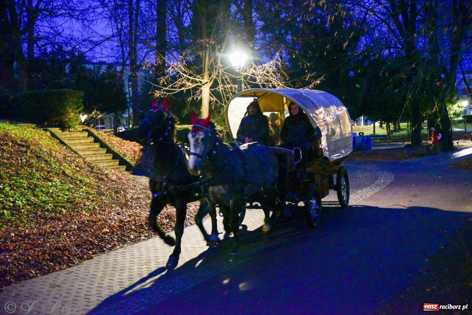 Zdjęcie w galerii na portalu naszraciborz.pl: Bajkowy zamek 2024 za nami. Cztery weekendy przedświątecznej zabawy w dawnej siedzibie Piastów wiadomości z regionu