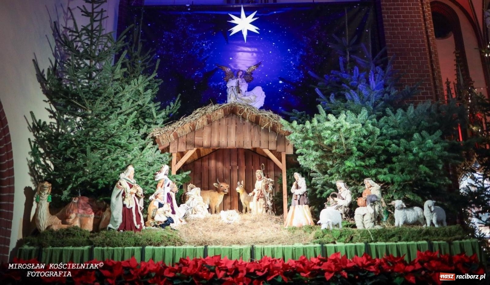 Zdjęcie w galerii na portalu naszraciborz.pl: Tradycja szopek bożonarodzeniowych w raciborskich kościołach [FOTO] wiadomości z regionu