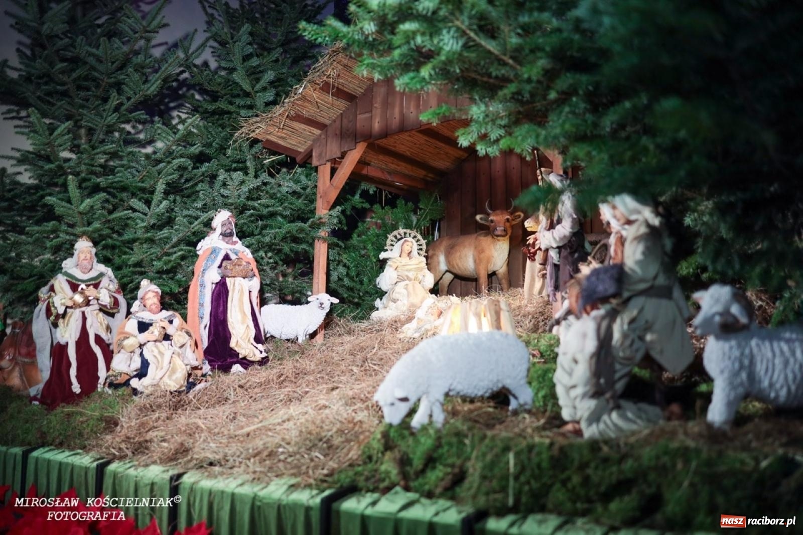Zdjęcie w galerii na portalu naszraciborz.pl: Tradycja szopek bożonarodzeniowych w raciborskich kościołach [FOTO] wiadomości z regionu