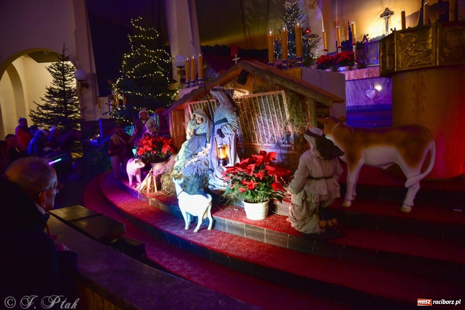 Zdjęcie w galerii na portalu naszraciborz.pl: Tradycja szopek bożonarodzeniowych w raciborskich kościołach [FOTO] wiadomości z regionu