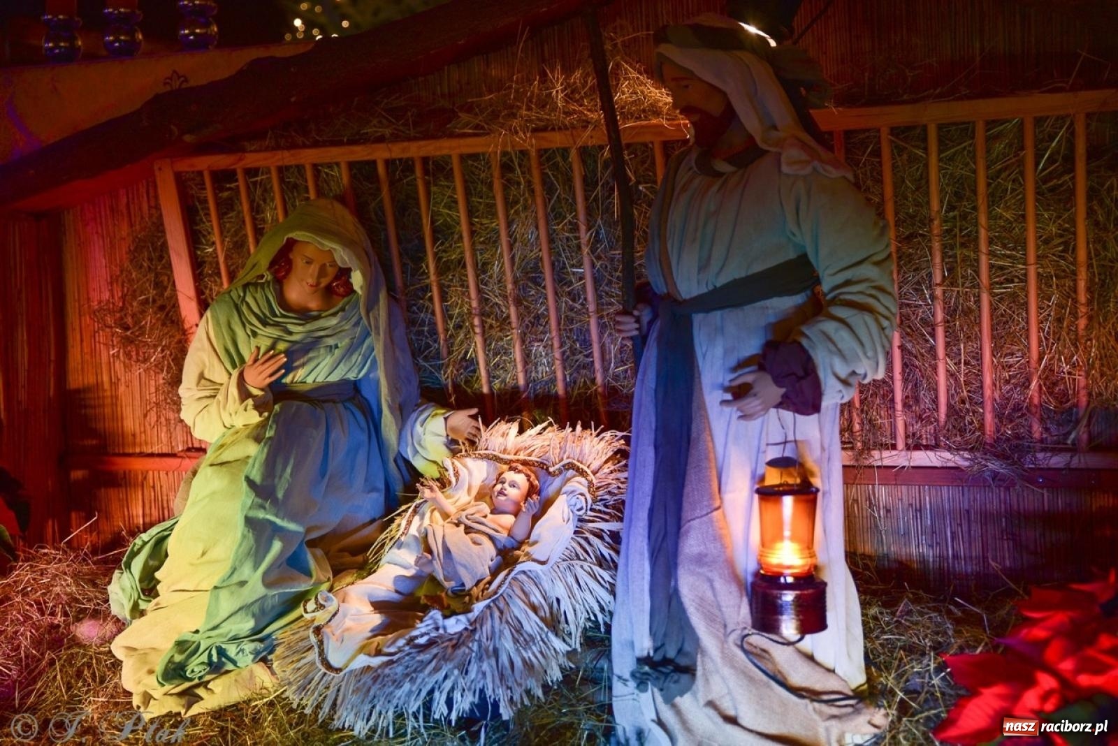 Zdjęcie w galerii na portalu naszraciborz.pl: Tradycja szopek bożonarodzeniowych w raciborskich kościołach [FOTO] wiadomości z regionu