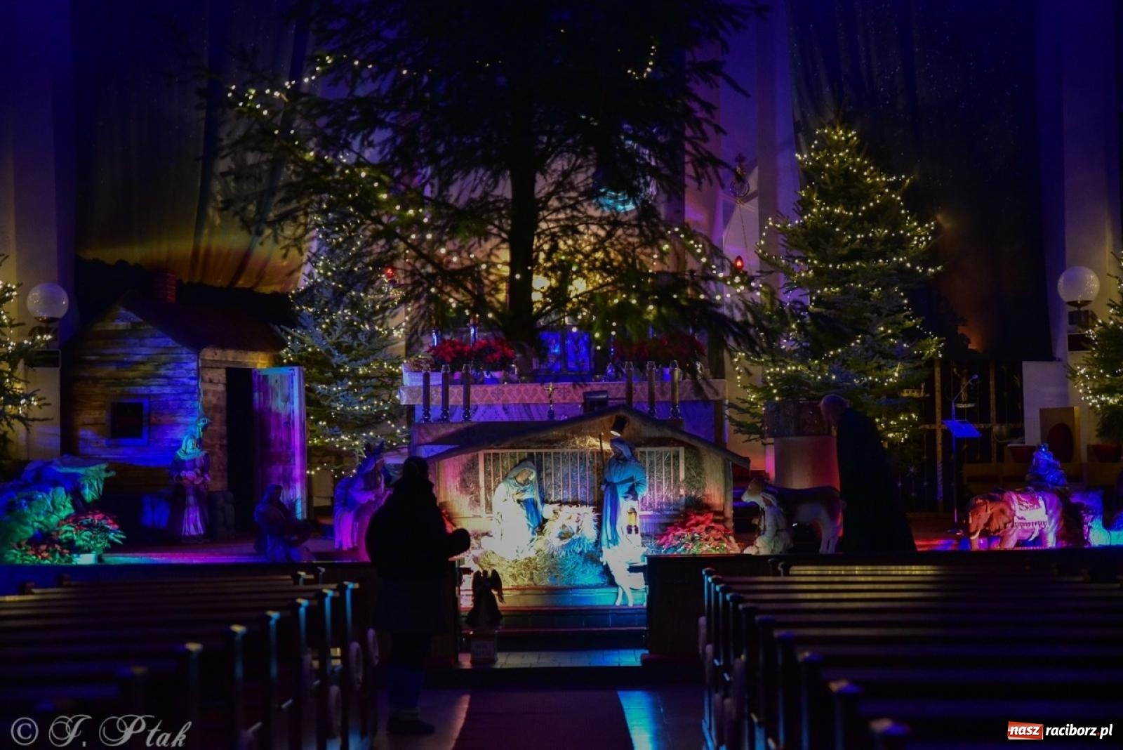 Zdjęcie w galerii na portalu naszraciborz.pl: Tradycja szopek bożonarodzeniowych w raciborskich kościołach [FOTO] wiadomości z regionu