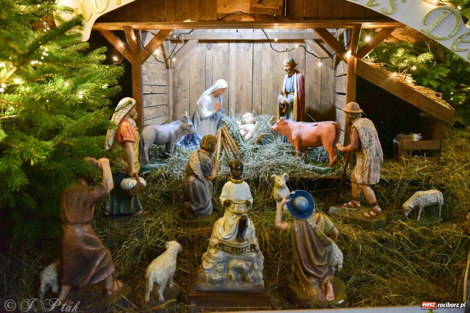 Zdjęcie w galerii na portalu naszraciborz.pl: Tradycja szopek bożonarodzeniowych w raciborskich kościołach [FOTO] wiadomości z regionu