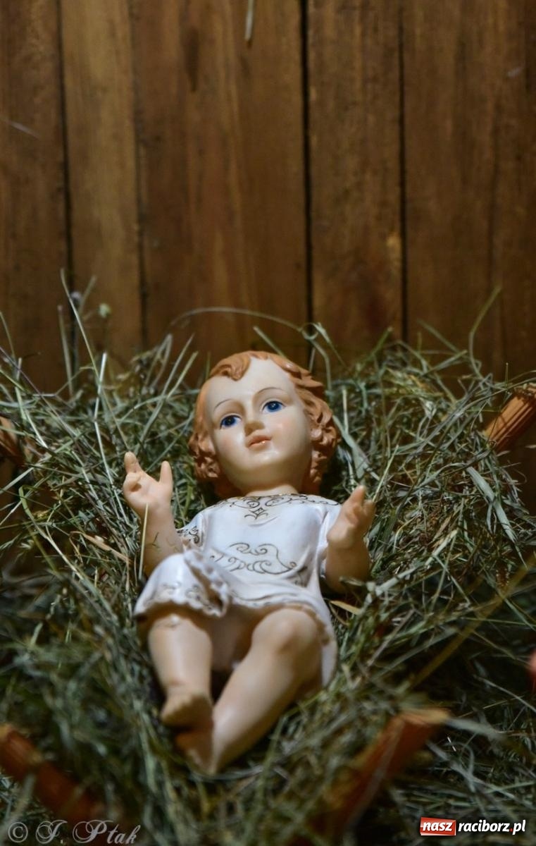 Zdjęcie w galerii na portalu naszraciborz.pl: Tradycja szopek bożonarodzeniowych w raciborskich kościołach [FOTO] wiadomości z regionu