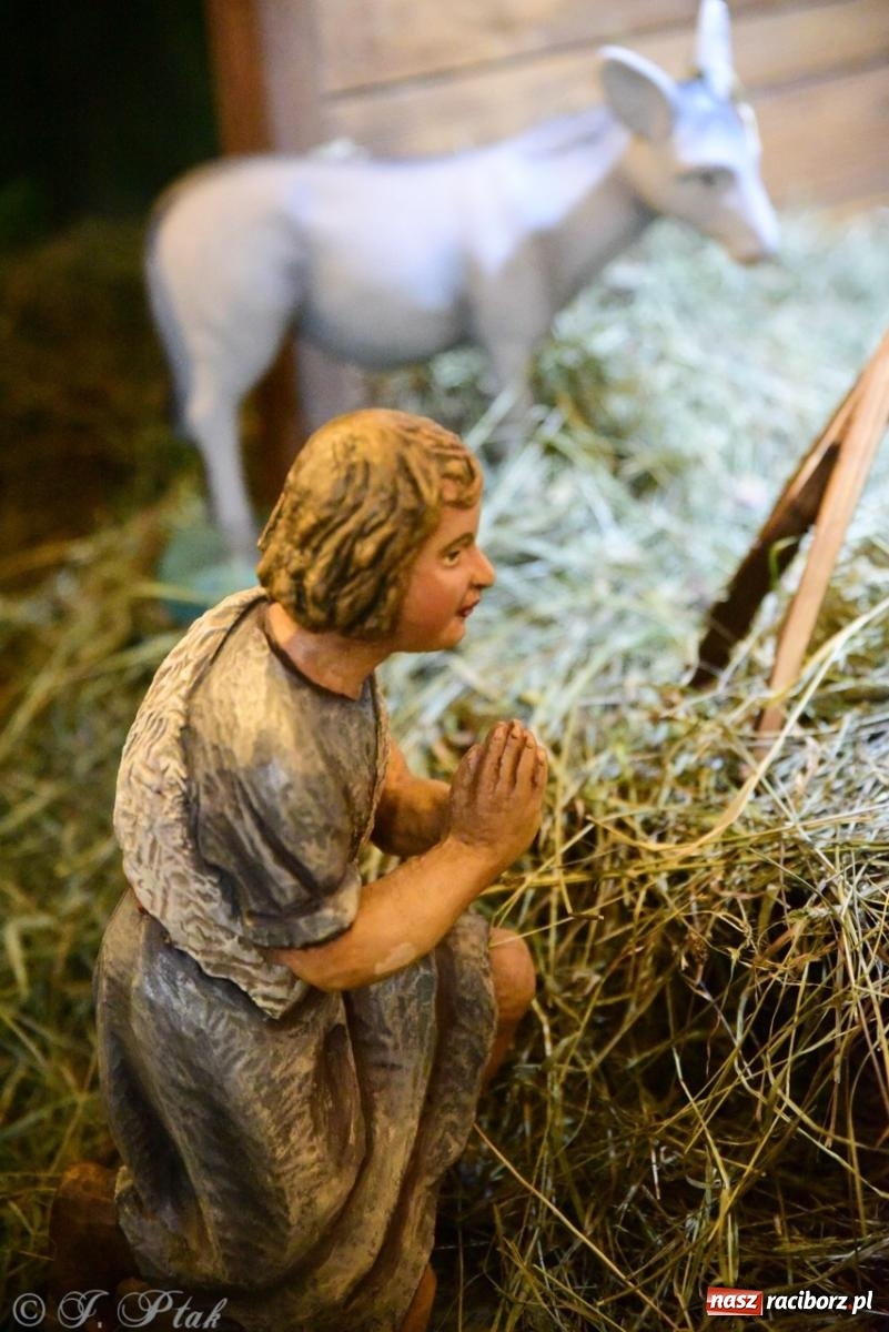 Zdjęcie w galerii na portalu naszraciborz.pl: Tradycja szopek bożonarodzeniowych w raciborskich kościołach [FOTO] wiadomości z regionu