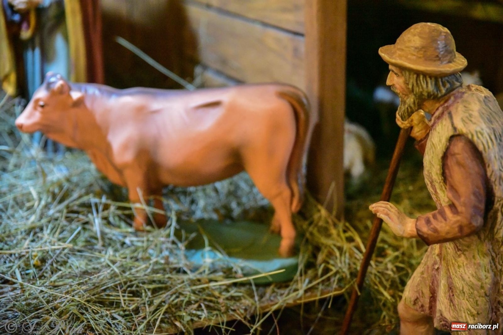 Zdjęcie w galerii na portalu naszraciborz.pl: Tradycja szopek bożonarodzeniowych w raciborskich kościołach [FOTO] wiadomości z regionu