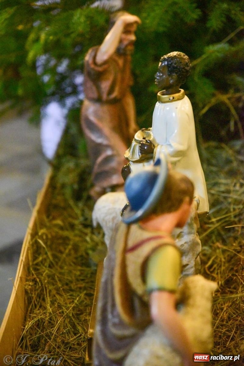 Zdjęcie w galerii na portalu naszraciborz.pl: Tradycja szopek bożonarodzeniowych w raciborskich kościołach [FOTO] wiadomości z regionu