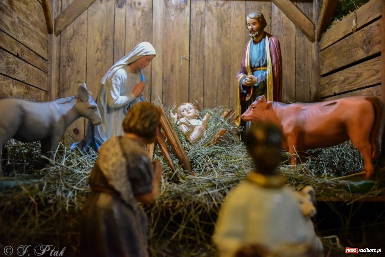 Zdjęcie w galerii na portalu naszraciborz.pl: Tradycja szopek bożonarodzeniowych w raciborskich kościołach [FOTO] wiadomości z regionu