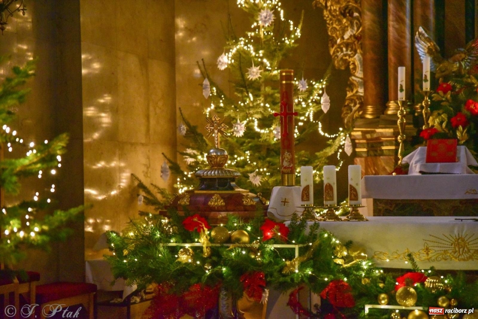 Zdjęcie w galerii na portalu naszraciborz.pl: Tradycja szopek bożonarodzeniowych w raciborskich kościołach [FOTO] wiadomości z regionu