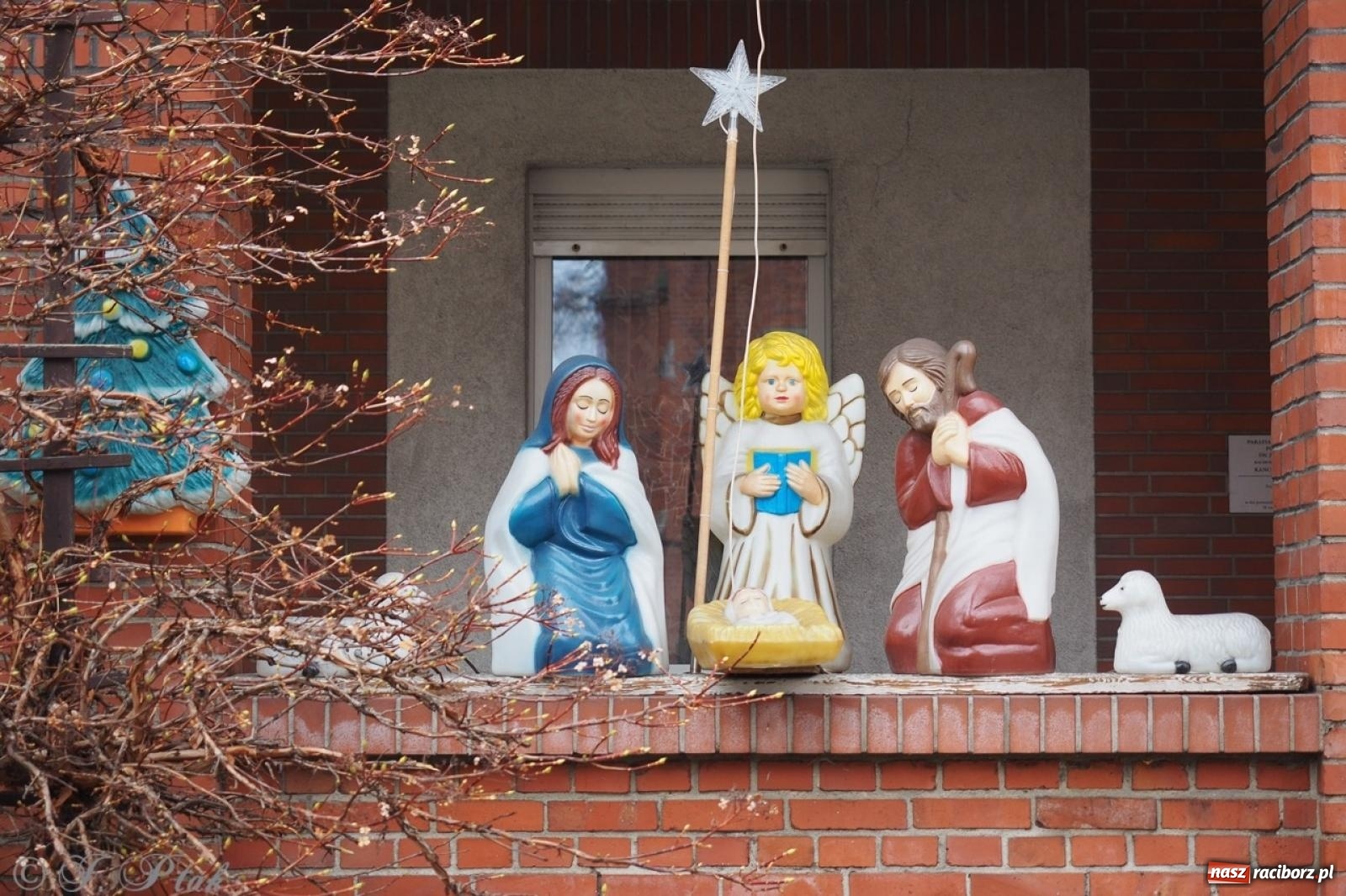 Zdjęcie w galerii na portalu naszraciborz.pl: Tradycja szopek bożonarodzeniowych w raciborskich kościołach [FOTO] wiadomości z regionu