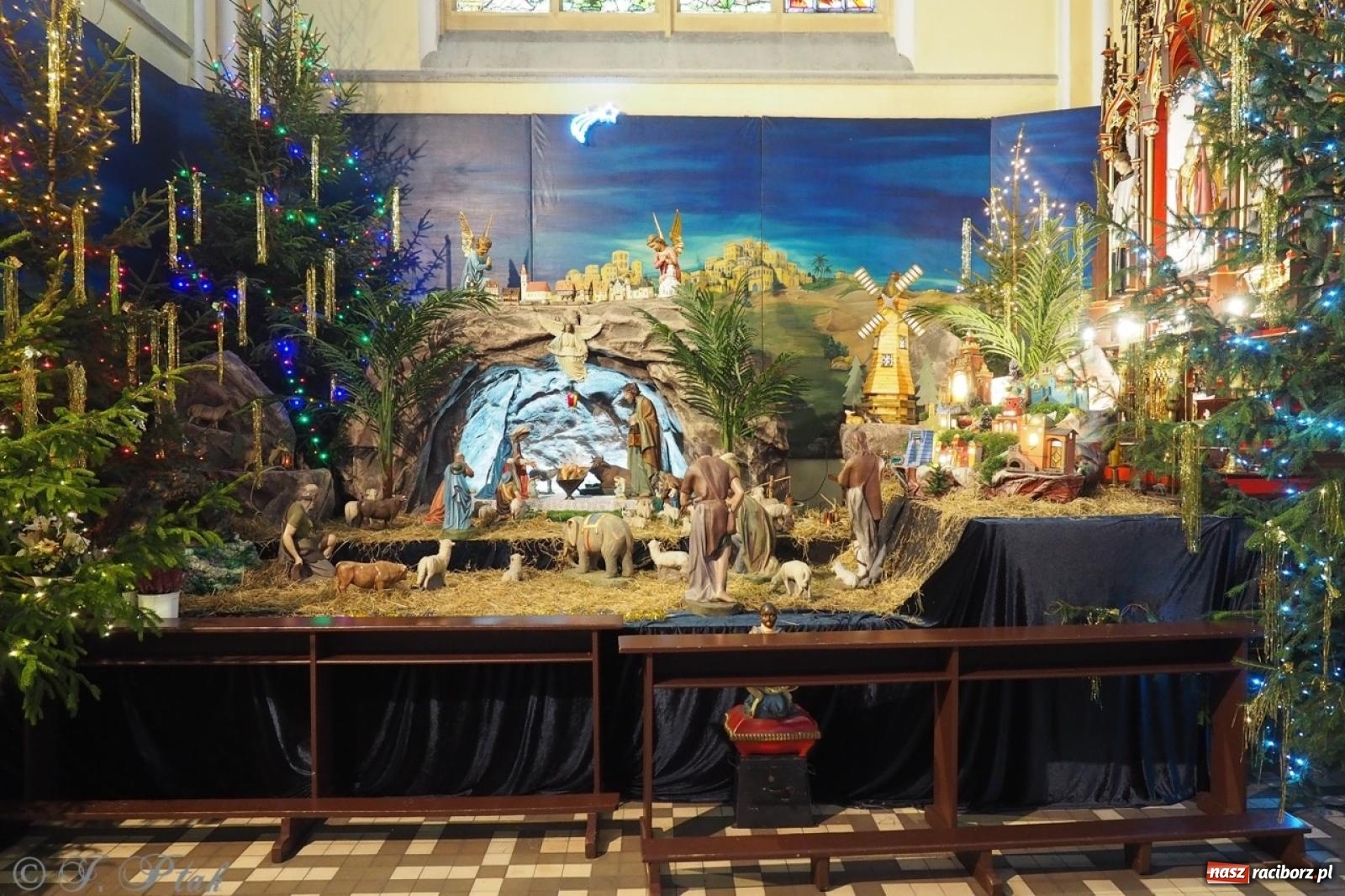 Zdjęcie w galerii na portalu naszraciborz.pl: Tradycja szopek bożonarodzeniowych w raciborskich kościołach [FOTO] wiadomości z regionu