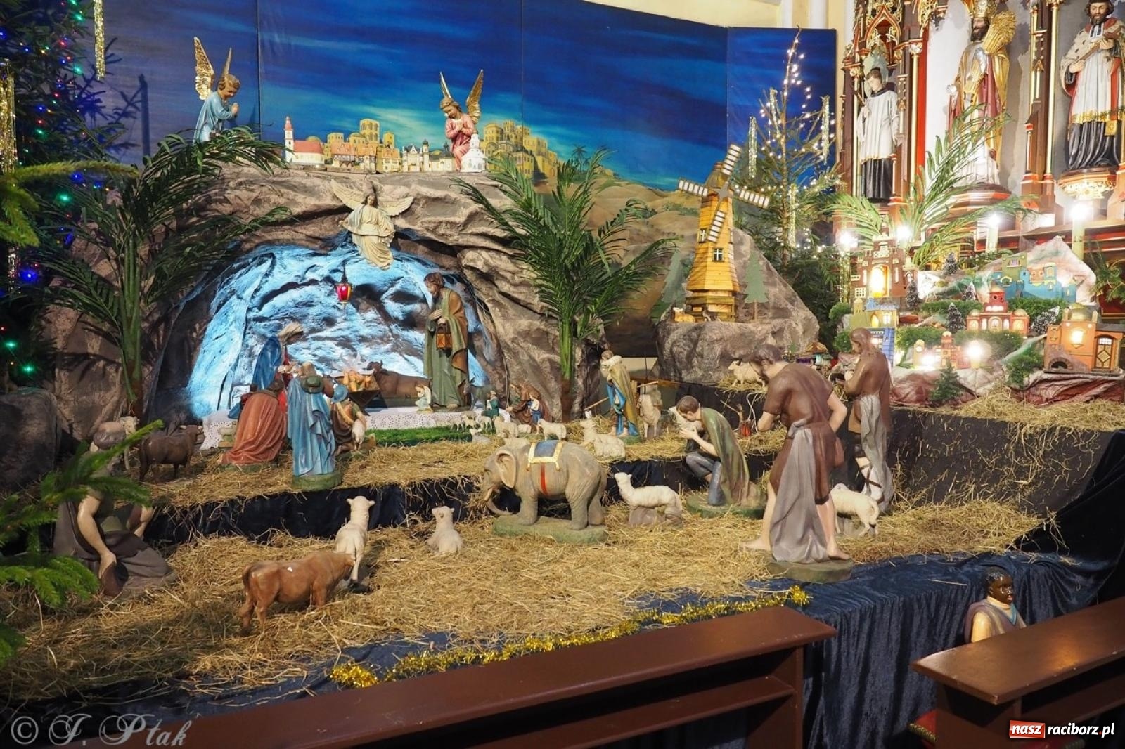 Zdjęcie w galerii na portalu naszraciborz.pl: Tradycja szopek bożonarodzeniowych w raciborskich kościołach [FOTO] wiadomości z regionu