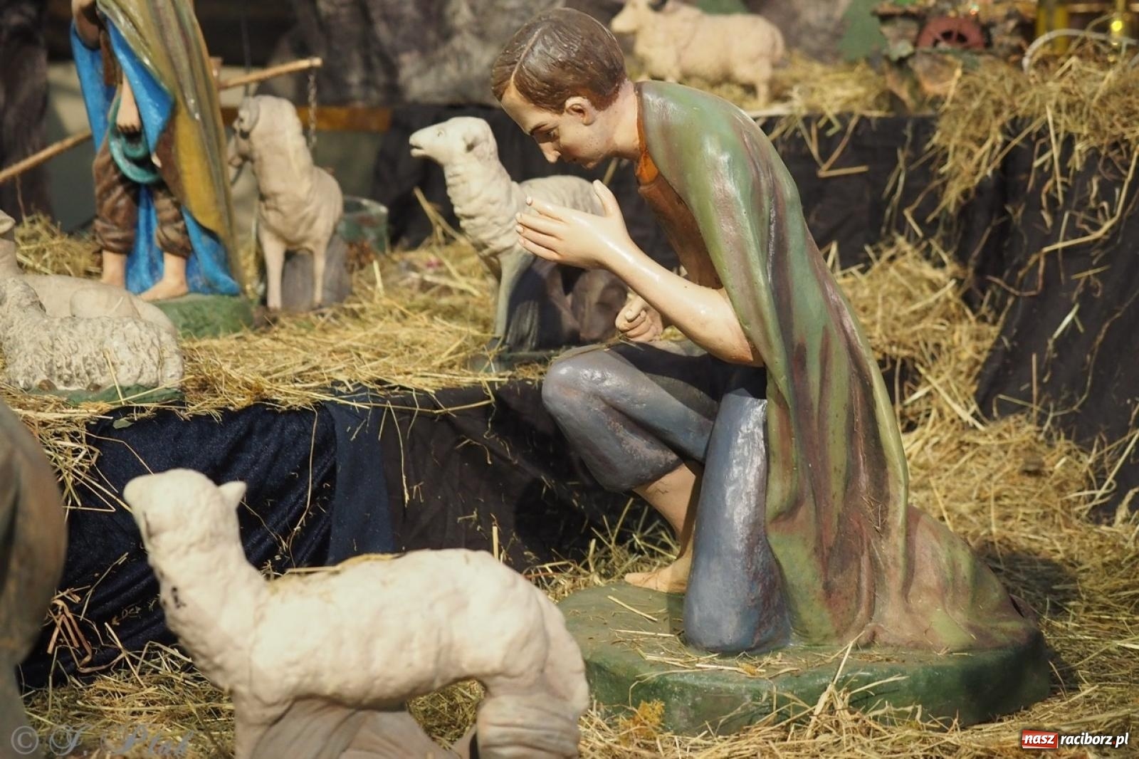 Zdjęcie w galerii na portalu naszraciborz.pl: Tradycja szopek bożonarodzeniowych w raciborskich kościołach [FOTO] wiadomości z regionu