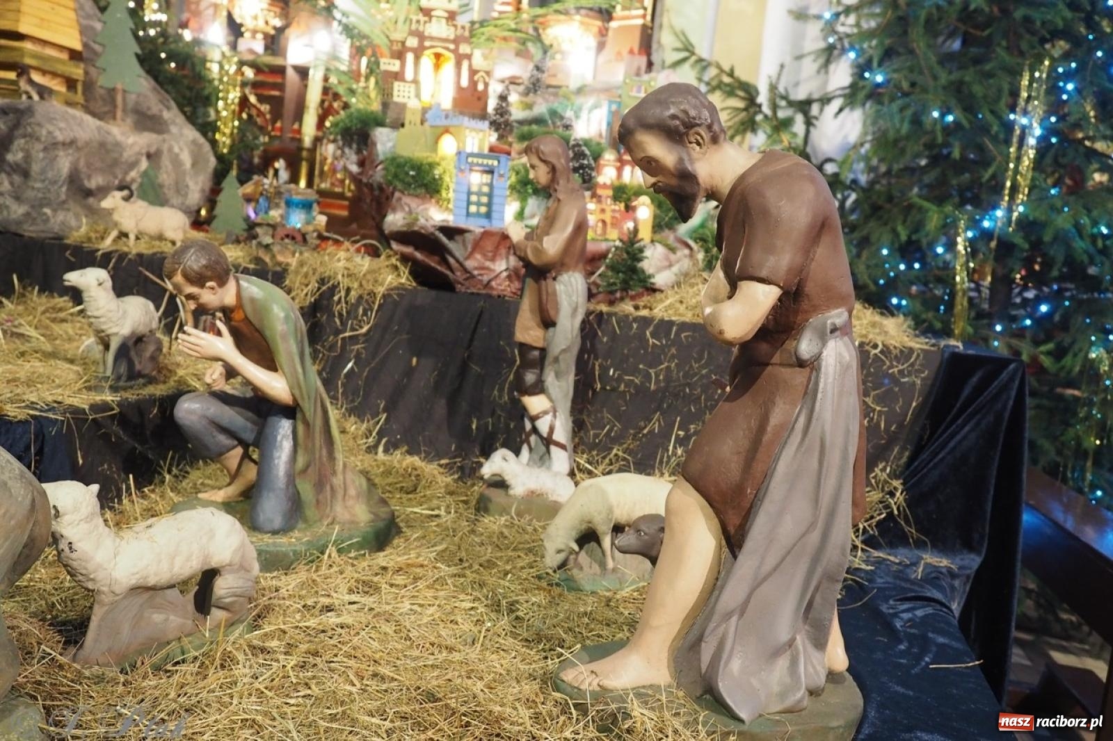 Zdjęcie w galerii na portalu naszraciborz.pl: Tradycja szopek bożonarodzeniowych w raciborskich kościołach [FOTO] wiadomości z regionu
