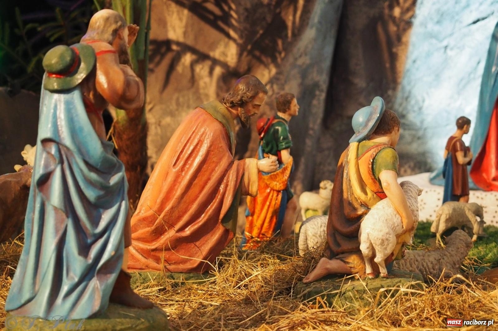 Zdjęcie w galerii na portalu naszraciborz.pl: Tradycja szopek bożonarodzeniowych w raciborskich kościołach [FOTO] wiadomości z regionu