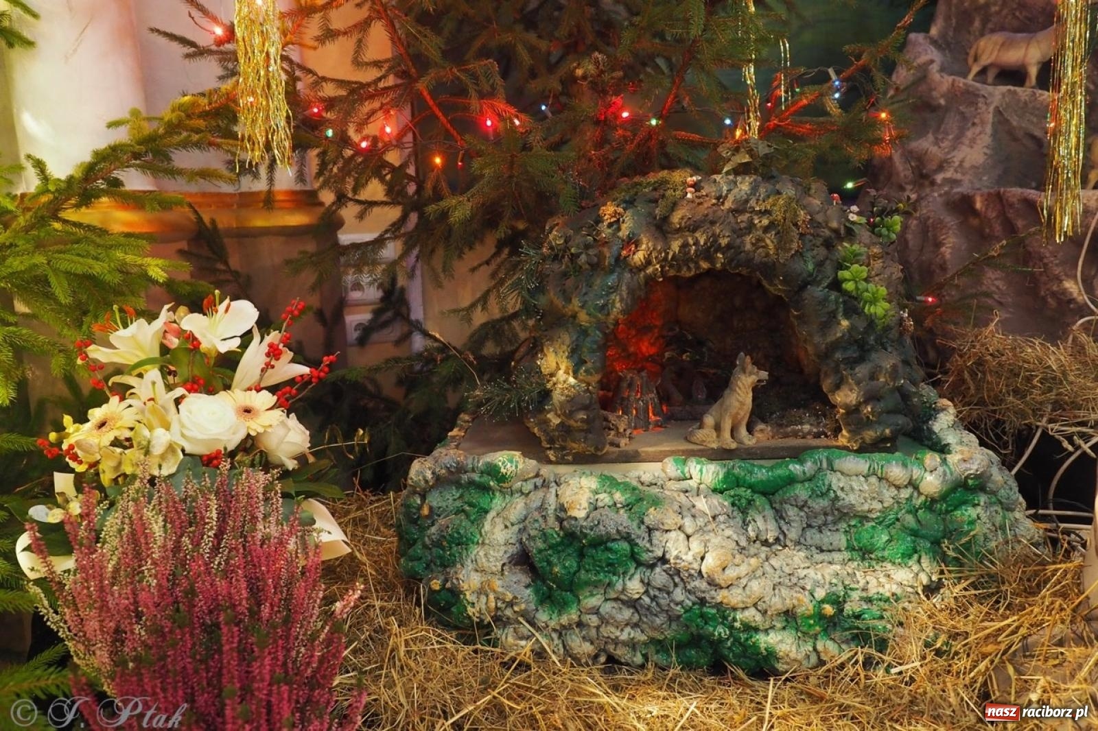 Zdjęcie w galerii na portalu naszraciborz.pl: Tradycja szopek bożonarodzeniowych w raciborskich kościołach [FOTO] wiadomości z regionu