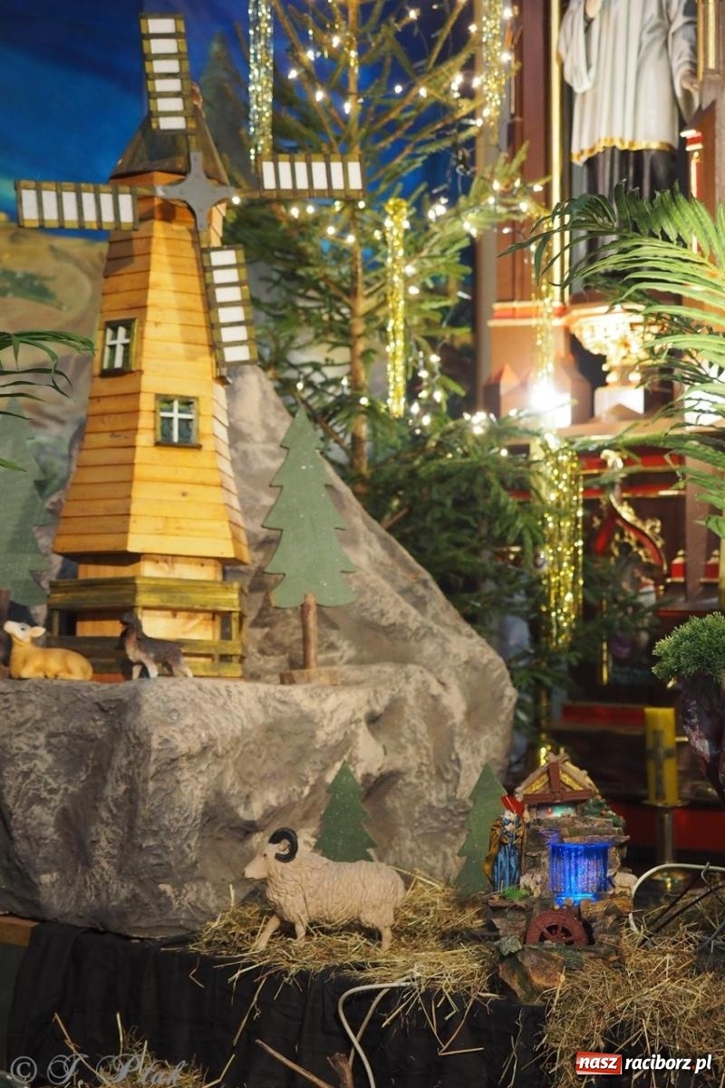 Zdjęcie w galerii na portalu naszraciborz.pl: Tradycja szopek bożonarodzeniowych w raciborskich kościołach [FOTO] wiadomości z regionu