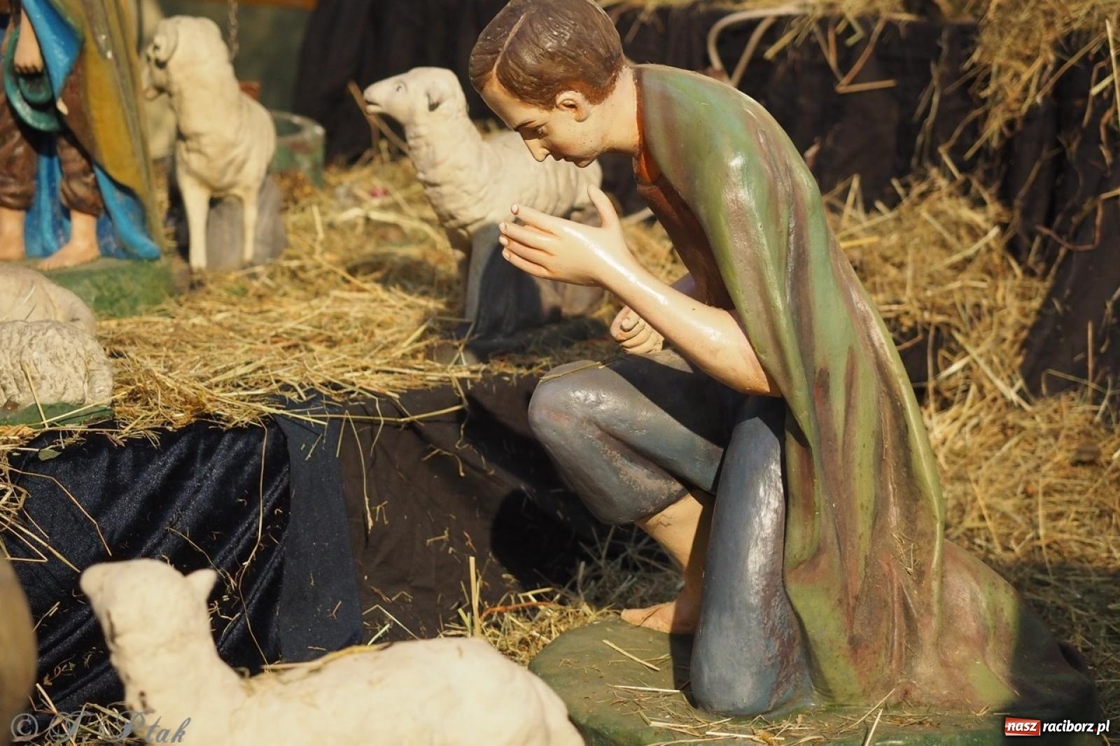 Zdjęcie w galerii na portalu naszraciborz.pl: Tradycja szopek bożonarodzeniowych w raciborskich kościołach [FOTO] wiadomości z regionu