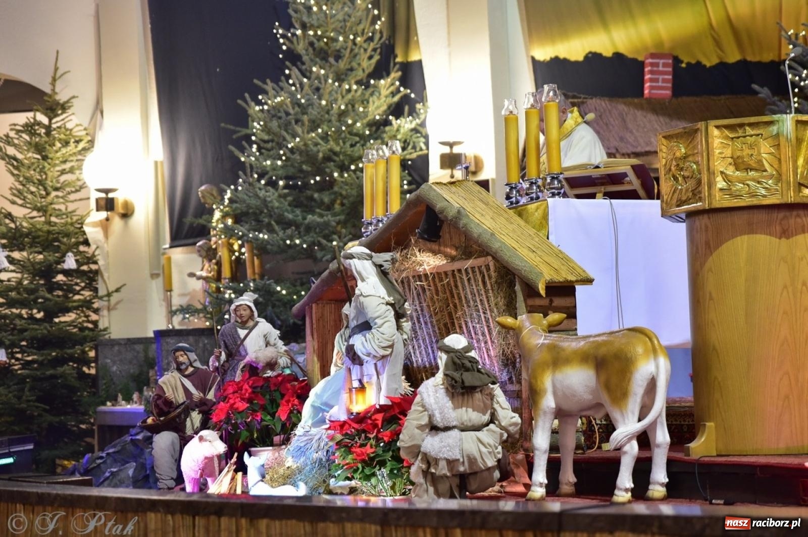 Zdjęcie w galerii na portalu naszraciborz.pl: Pasterka w okrąglaku: figura Dzieciątka w żłóbku i zapowiedź wieczoru kolęd [FOTO i WIDEO] wiadomości z regionu