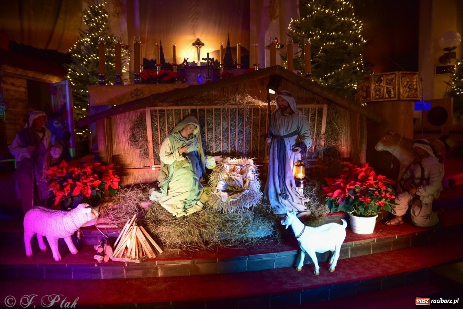 Zdjęcie w galerii na portalu naszraciborz.pl: Pasterka w okrąglaku: figura Dzieciątka w żłóbku i zapowiedź wieczoru kolęd [FOTO i WIDEO] wiadomości z regionu