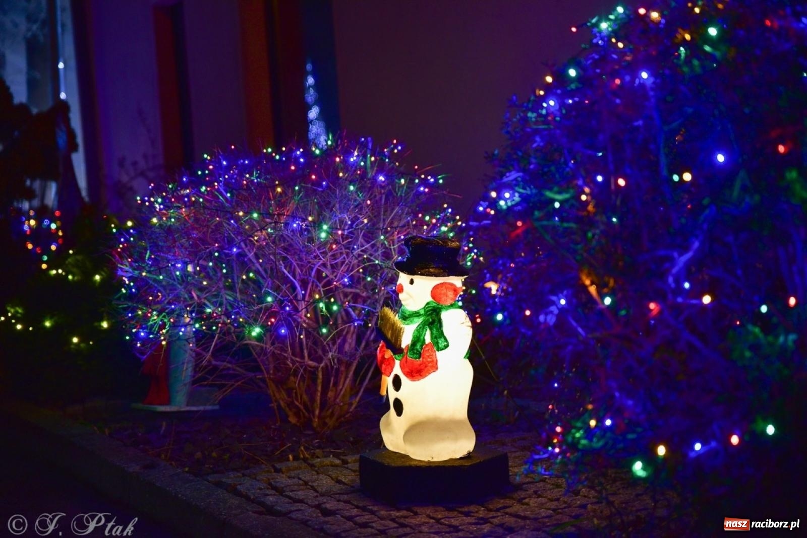 Zdjęcie w galerii na portalu naszraciborz.pl: Śląskie Griswoldowo, czyli Nowa Wioska zaprasza do świątecznego świata iluminacji wiadomości z regionu