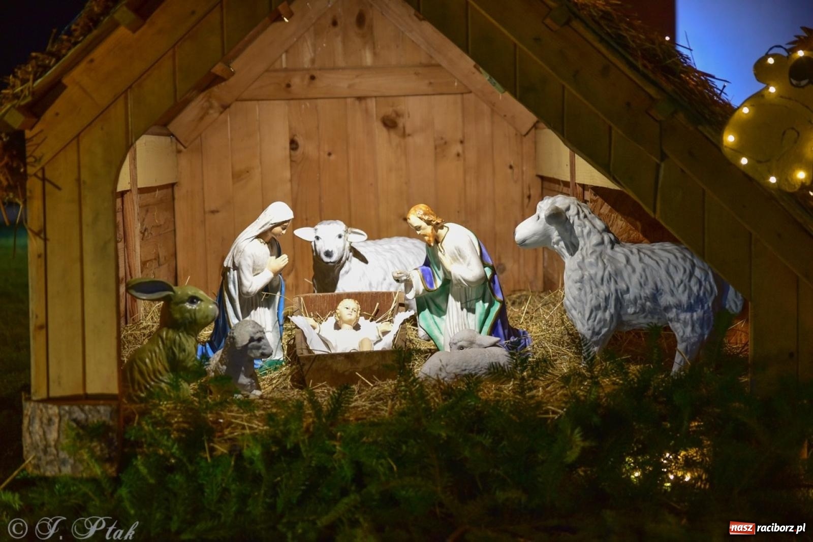 Zdjęcie w galerii na portalu naszraciborz.pl: Śląskie Griswoldowo, czyli Nowa Wioska zaprasza do świątecznego świata iluminacji wiadomości z regionu