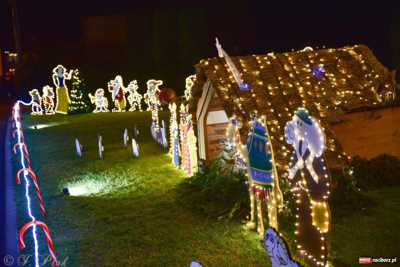 Zdjęcie w galerii na portalu naszraciborz.pl: Śląskie Griswoldowo, czyli Nowa Wioska zaprasza do świątecznego świata iluminacji wiadomości z regionu